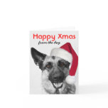 Christmas Card German Shepherd