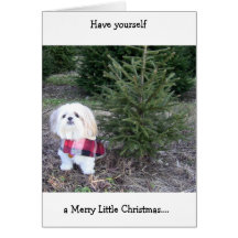 Christmas Card with Shihtzu Dog & Christmas Tree