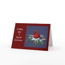 CHRISTMAS CARDINAL: BIRD: ART: SNOW