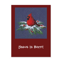 CHRISTMAS CARDINAL: BIRD: ART: SNOW