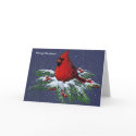 CHRISTMAS: CARDINAL: BIRD: SNOW: CARD