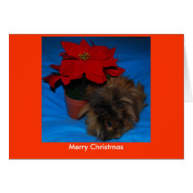 Christmas Cards