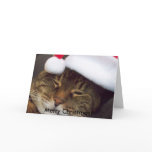 Christmas Cards by iona847