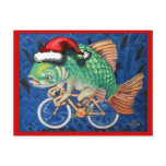 Christmas Carp Postcard