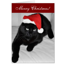 Christmas cat 4 cards