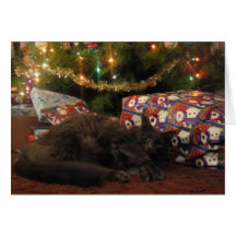 Christmas Cat Card