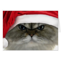 Christmas cat card