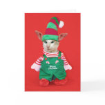 Christmas Cat Elf cards
