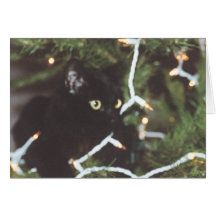 Christmas cat greeting card