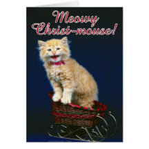 Christmas Cat Greeting Cards