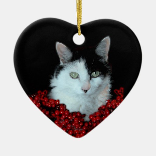 christmas cat ornament zazzle christmas cat ornament zazzle
