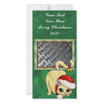 Christmas Cat Photo Card