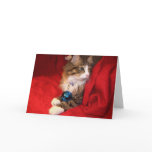 Christmas Cat with Blue Ball Greeting Cards