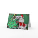 Christmas Cats cards