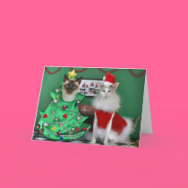Christmas Cats cards