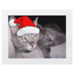 Christmas Cats flyers