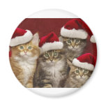 Christmas cats magnet