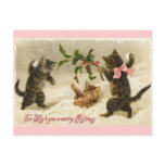 Christmas Cats postcards