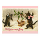 Christmas Cats Postcard