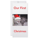 Christmas Cats rack cards