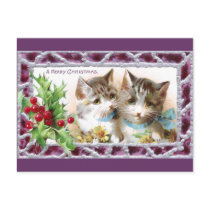 Christmas Cats with Holly and Daisies Post Card