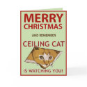 Christmas Ceiling Cat Card