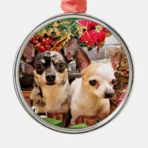 Christmas - Chihuahua - Gordy and Pedro Ornaments