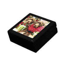 Christmas - Chocolate Labrador - Hershey & Zena Trinket Box