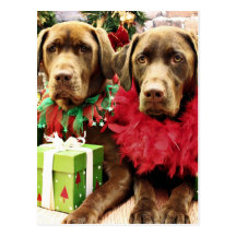 Christmas - Chocolate Labrador - Hershey & Zena Postcard