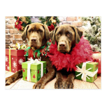 Christmas - Chocolate Labrador - Hershey & Zena Postcard