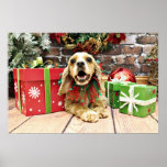 Christmas - Cocker Spaniel - Winston Posters