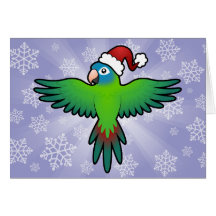 Christmas Conure / Lorikeet / Parrot Cards