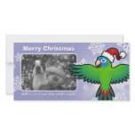 Christmas Conure / Lorikeet / Parrot photo cards
