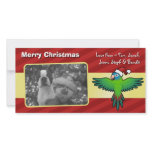 Christmas Conure / Lorikeet / Parrot photo cards