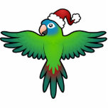 Christmas Conure / Lorikeet / Parrot photo sculptures