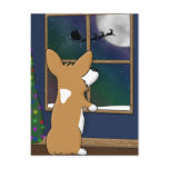 Christmas Corgi at Window postcards