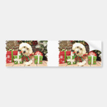 Christmas - Coton de Tulear - Charlie Bumper Stickers