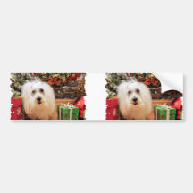 Christmas - Coton de Tulear - Claire Bumper Sticker