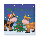 Christmas Cows magnets