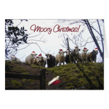 Christmas cows wearing Santa hats. Card
