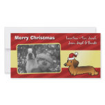 Christmas Dachshund (longhair) photo cards