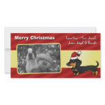 Christmas Dachshund (smooth coat) photo cards