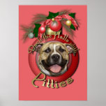 Christmas - Deck the Halls - Pitties - Tigger Print