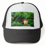 Christmas Decoration On The Tree hats