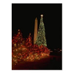 Christmas decorations on the Washington DC  Mall Post Card