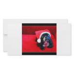 Christmas Dog photo cards