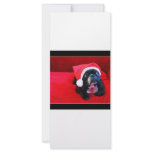 Christmas Dog rack cards