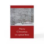 Christmas Dogwood Tree in Snow for Boss Cards