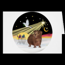 Christmas Dove - Guinea Pig 3 cards