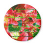 "Christmas Dreams" Red Lillies Magnet